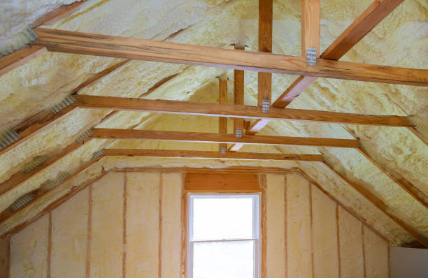 Types of Insulation We Offer in Royal Kunia, HI