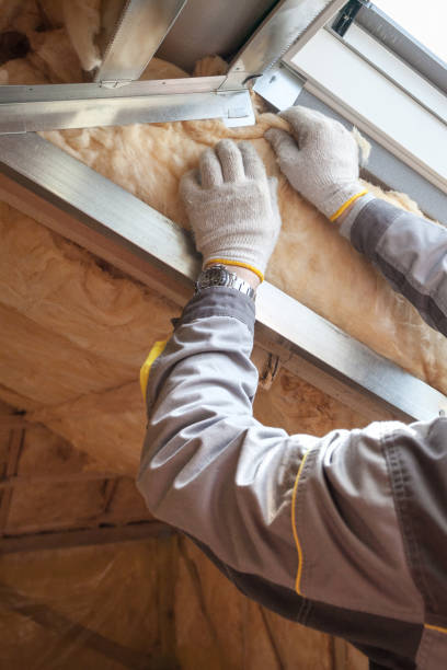 Best Residential Insulation in Royal Kunia, HI